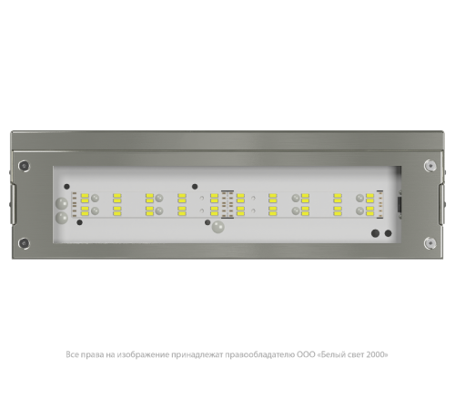 Указатель аварийный светодиодный BS-DBU-10-L2-ELON 10,6Вт централизованный накладной IP66  a18759  Белый свет