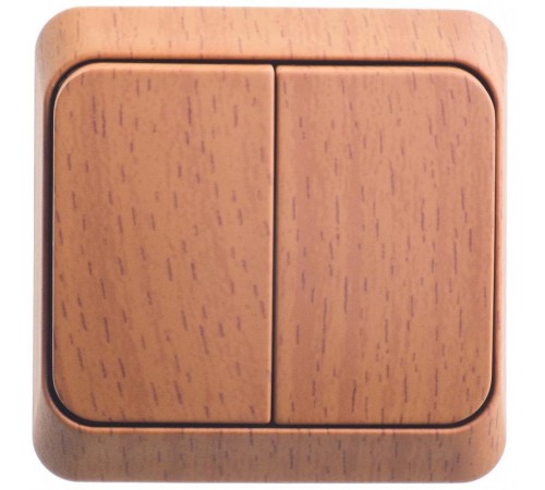 Этюд Бук О/У Выключатель 2-клавишный с подсветкой (сх. 5)  BA10-006T  SE