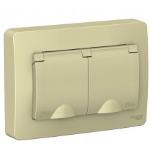 Blanca Бежевый С/У Розетка 2-ая с з/к со шт.,с крышкой, 16А, IP44, 250В  BLNRS441127  SE