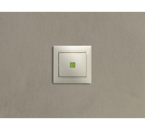 Valena Сл. кость Выключатель 1-клавишный с подсветкой  774310  Legrand