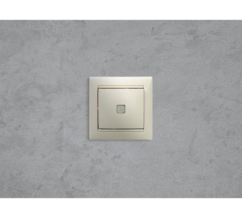 Valena Сл. кость Выключатель 1-клавишный с подсветкой  774310  Legrand