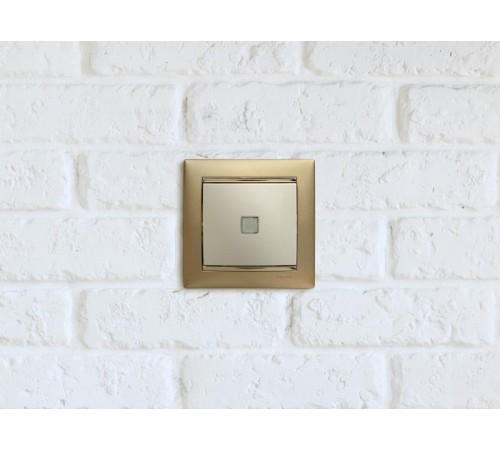 Valena Сл. кость Выключатель 1-клавишный с подсветкой  774310  Legrand