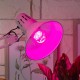 Лампа светодиодная фито для растений 10Вт E27 красно-синий спектр FITO-10W-RB-E27-K  Б0039069  ЭРА
