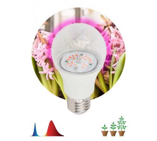 Лампа светодиодная фито для растений 10Вт E27 красно-синий спектр FITO-10W-RB-E27-K  Б0039069  ЭРА