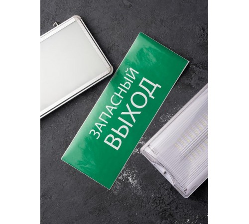 Пиктограмма "Запасный выход" 240х95мм (для SAFEWAY-10)  pkal-02-02  EKF