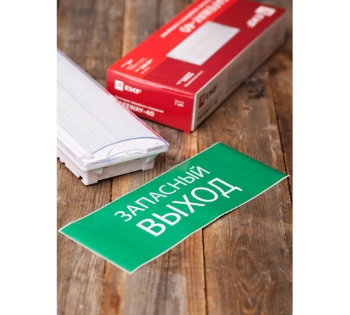 Пиктограмма "Запасный выход" 240х95мм (для SAFEWAY-10)  pkal-02-02  EKF