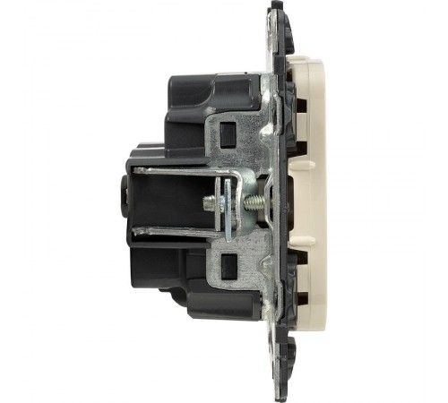 Valena ALLURE DIY Сл.кость Розетка 1-ая с/з, безвинт.зажим  753821  Legrand