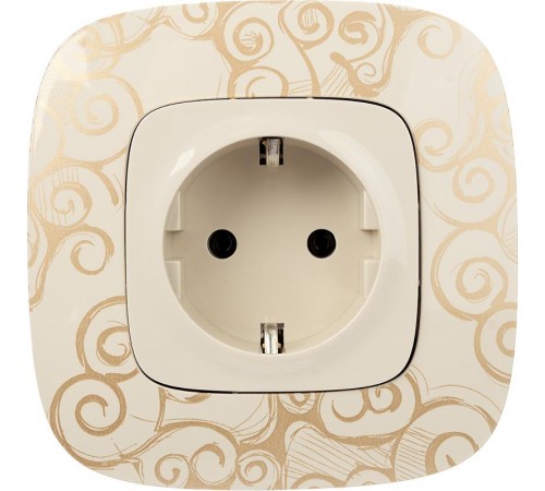 Valena ALLURE DIY Сл.кость Розетка 1-ая с/з, безвинт.зажим  753821  Legrand