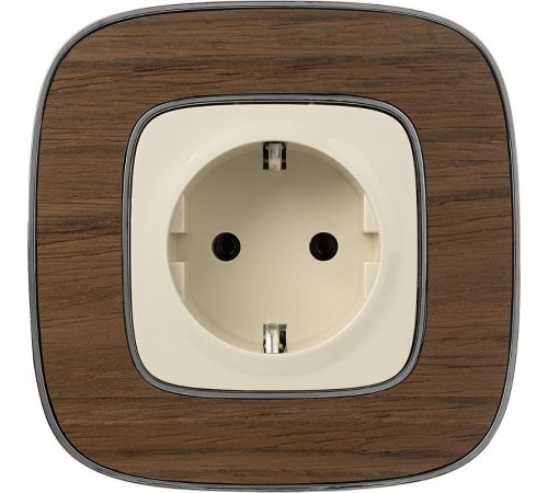 Valena ALLURE DIY Сл.кость Розетка 1-ая с/з, безвинт.зажим  753821  Legrand