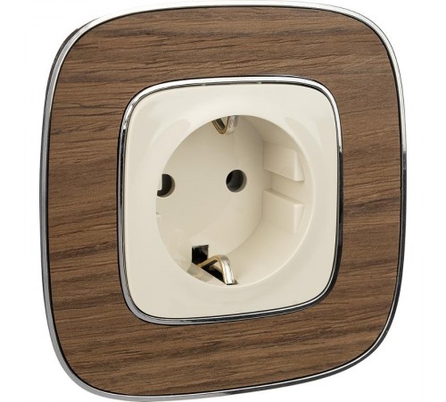 Valena ALLURE DIY Сл.кость Розетка 1-ая с/з, безвинт.зажим  753821  Legrand