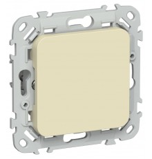 FLITE Заглушка с суппортом ЗГ-ФлН навахо  FI-PL10-K87  IEK