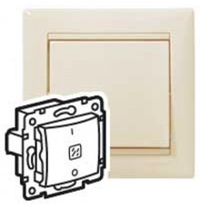 Valena Сл. кость Выключатель двухполюсный с индикацией 10A 250В  774349  Legrand