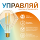 Лампа светодиодная филаментная Smart Home DIM+CCT E27 Diamond Golden 6,5 Вт 2000-5500 К 1/40  1370112  Gauss