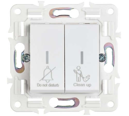 SKANDY Выключатель 2-клавишный с индикацией для отелей 10А SK-V16W арктический белый   SK-V20-2-10-K01  IEK