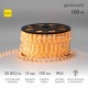 Дюралайт LED, постоянное свечение (2W) - желтый, 30 LED/м, бухта 100м  121-121-6  NEON-NIGHT