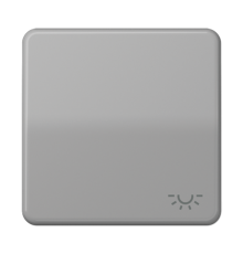 Клавиша с символом "освещение"; серая  CD590LGR  Jung