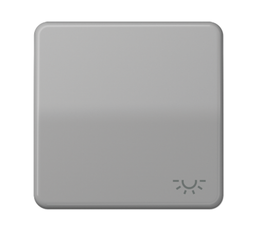 Клавиша с символом "освещение"; серая  CD590LGR  Jung