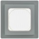 FLITE Рамка 1-местная IP55 Рпро-1-55-ФлС серый  FI-M10-32-55-K03  IEK