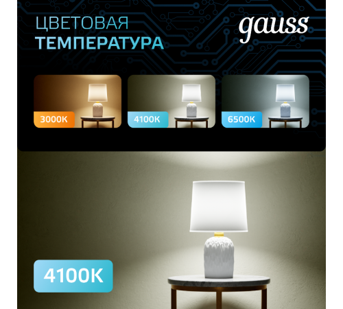 Лампа светодиодная Black LED G95 E27 16W 1400lm 4100K  105102216  Gauss