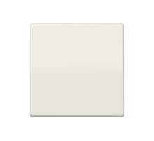 Одинарная клавиша для балансирных механизмов выключателей (кнопок), в комплекте с AS90HP (крепежный элемент), возможно IP44; дюропласт; слоновая кость