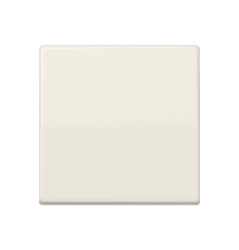 Одинарная клавиша для балансирных механизмов выключателей (кнопок), в комплекте с AS90HP (крепежный элемент), возможно IP44; дюропласт; слоновая кость