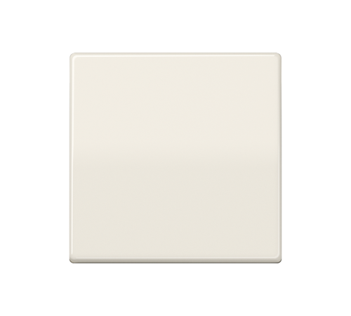 Одинарная клавиша для балансирных механизмов выключателей (кнопок), в комплекте с AS90HP (крепежный элемент), возможно IP44; дюропласт; слоновая кость