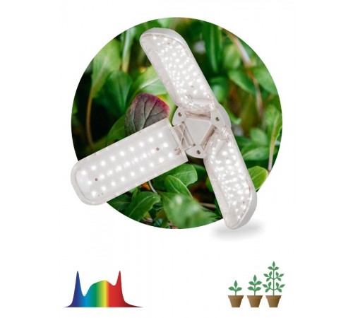 Фитолампа для растений светодиодная FITO-24W-Ra90-E27-FOLD 3-х лепестковая полного спектра 24 Вт Е27  Б0057285  ЭРА