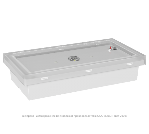 Светильник аварийного освещения BS-BRIZ-81-L2-INEXI3-FELS  a17574  Белый свет