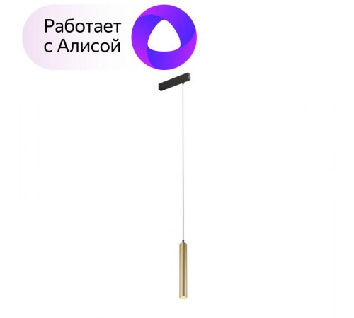 Светильник трековый подвесной DK8008-BG SMART HANG 9W DIM 2700K-6000K матовое золото с черным  DK8008-BG  DENKIRS