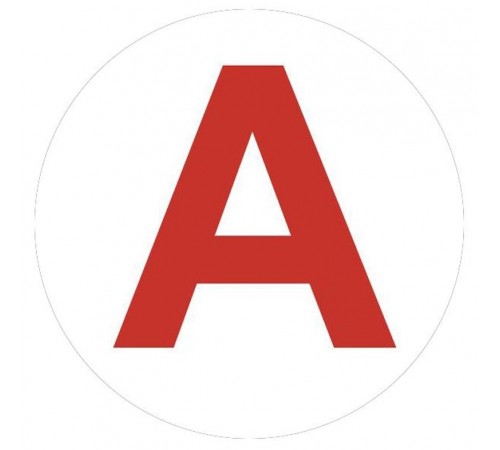 Самоклеящаяся этикетка  INFO-LLP-129 50х50мм А для маркировки аварийных светильников  Б0069101  ЭРА