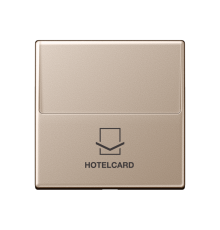 Накладка-картодержатель для балансирных механизмов 531U, 532U, 533U, 534U; термопласт; шампань; A500  A590CARDCH  Jung