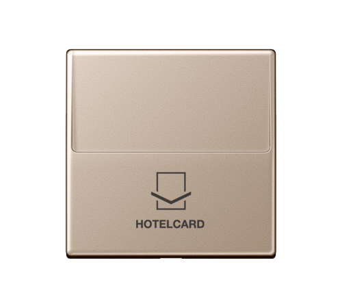 Накладка-картодержатель для балансирных механизмов 531U, 532U, 533U, 534U; термопласт; шампань; A500  A590CARDCH  Jung