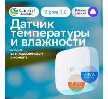 Умный датчик температуры и влажности   SBDV-00079  Sber