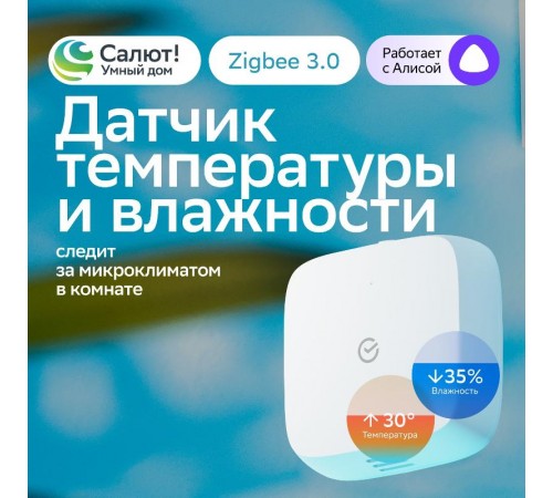 Умный датчик температуры и влажности   SBDV-00079  Sber