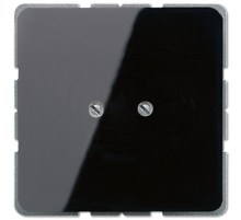 Глухая плата, чёрный  CD561BSW  Jung