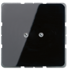 Глухая плата, чёрный  CD561BSW  Jung