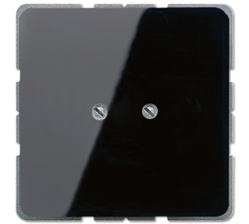 Глухая плата, чёрный  CD561BSW  Jung