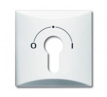 Плата центральная (накладка) с поворотной ручкой, IP44, серия Allwetter 44, цвет альпийский белый  1710-0-1837   2CKA001710A1837  ABB