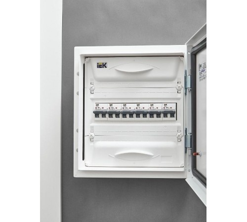 Выключатель автоматический двухполюсный M06N 2P C 25А 6кА ARMAT  AR-M06N-2-C025  IEK