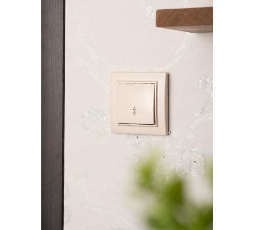 Выключатель 1-кл. СП проходной 10А бежевый Минск EKFERV10-025-20EKF