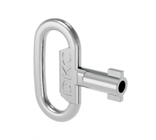 Ключ металлический с двойной бородкой 3мм  R5CE230  DKC