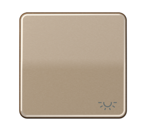 Клавиша с символом "освещение"; золотая бронза  CD590LGB  Jung