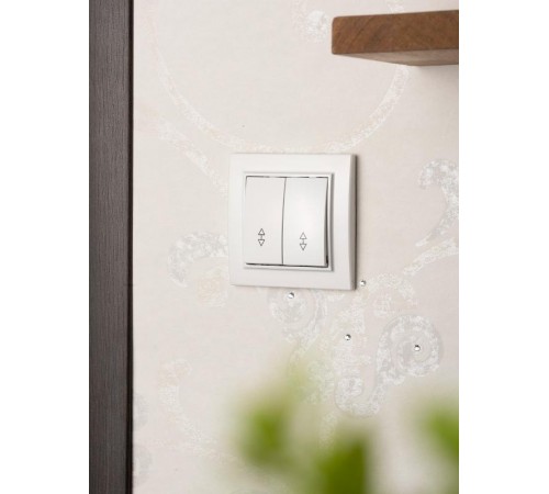 Выключатель 2-кл. СП проходной 10А белый Минск Basic  ERV10-027-10  EKF