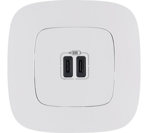 Valena ALLURE Белый Зарядное устройство с 2-мя USB-разьемами тип С-тип С 240В/5В 3000мА С лицевой панелью  755345  Legrand