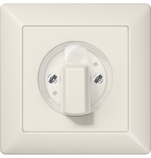 накладка поворотного механизма слоновая кость AS1541 Jung