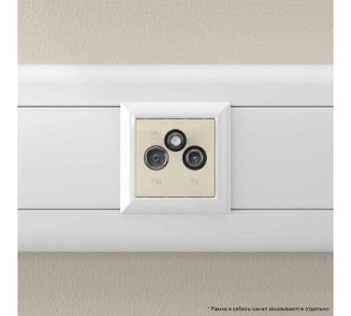 TV-FM-SAT "Ванильная дымка", "Avanti", 2 мод.  4405532  DKC