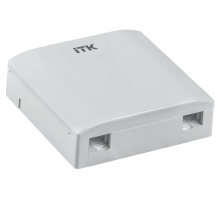 Розетка оптическая настенная 2 порта SC/LC  CS2-FSCLC-22  ITK