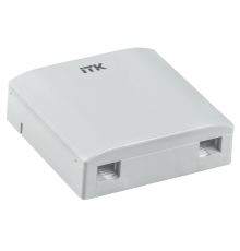 Розетка оптическая настенная 2 порта SC/LC  CS2-FSCLC-22  ITK