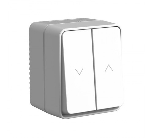 AtlasDesign Profi54 Серый О/У Выключатель 2-клавишный для жалюзи, 2х сх.4  ATN543019  SE