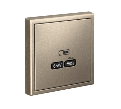 ArtGallery Шампань Розетка USB тип-С 65Вт высокоскор.заряд. QC, PD, механизм  GAL000527  SE